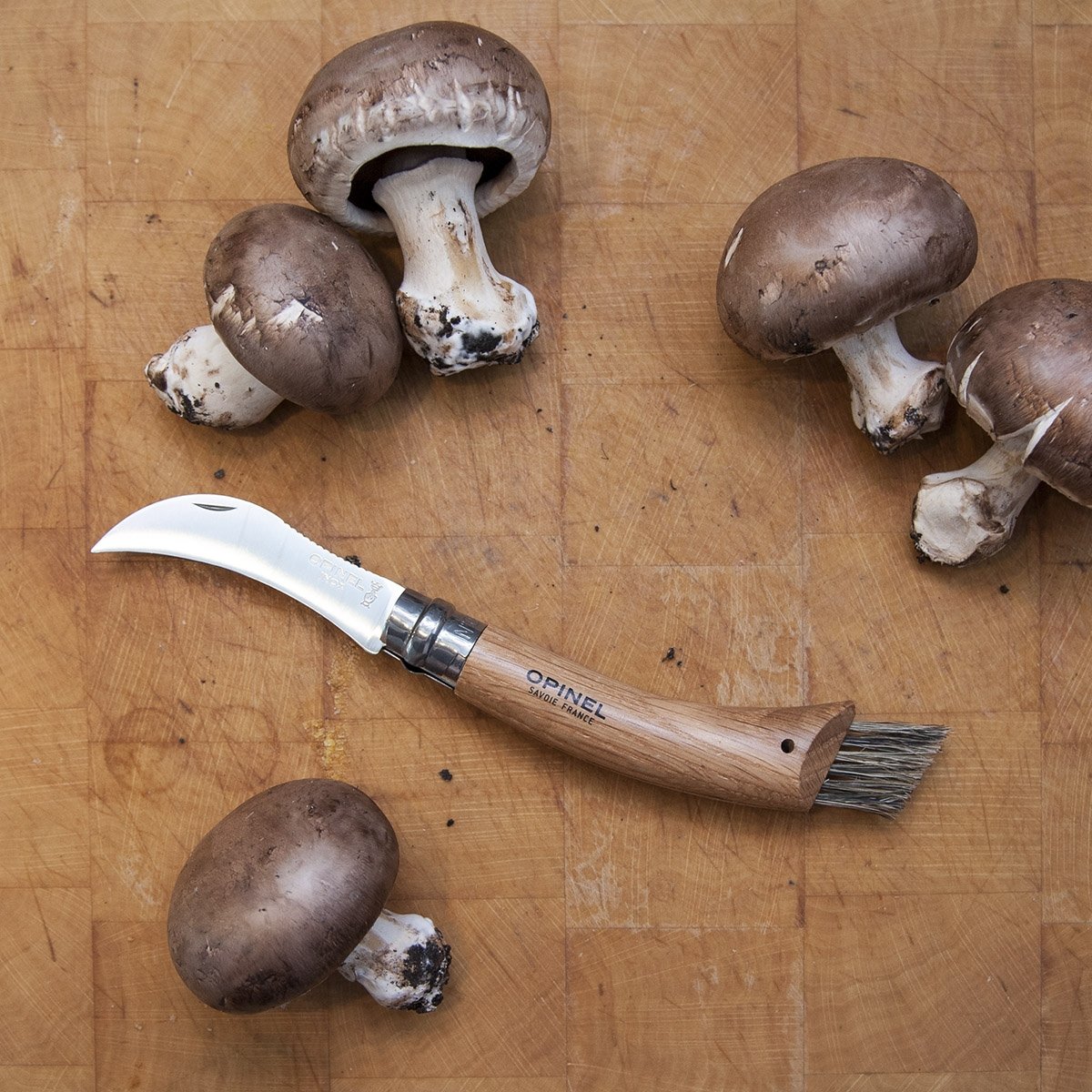 Couteau à champignons Lou Truffaïre