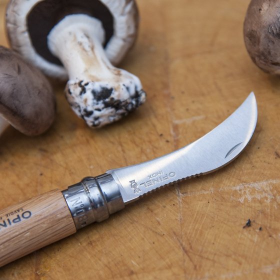 Cueillir des champignons : Couteau à champignon et son étui - 10,90 €