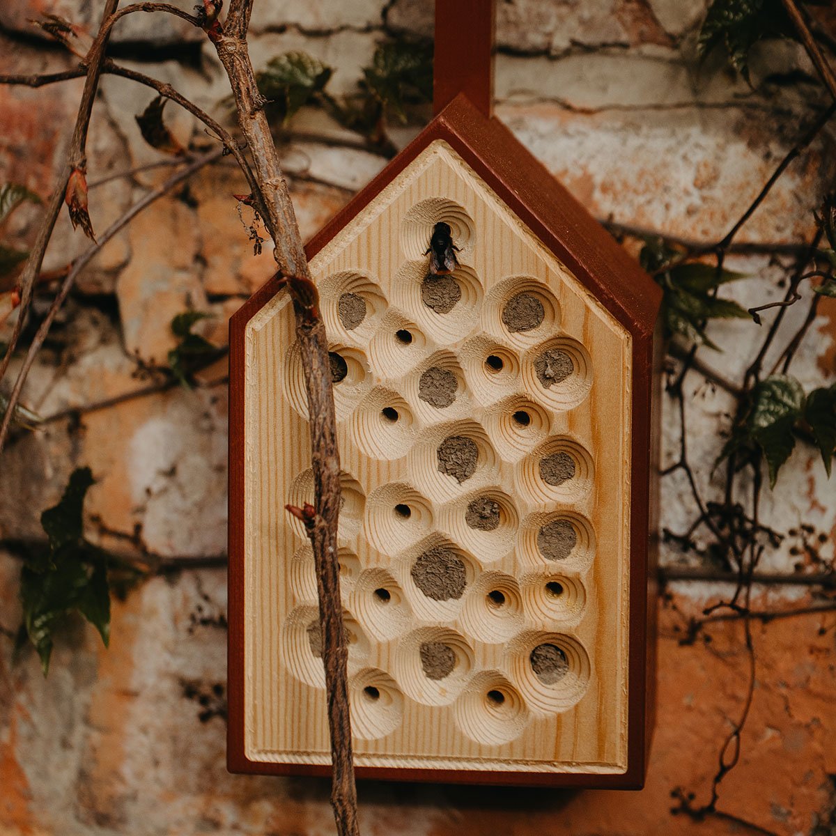 Abri pour les abeilles en bois