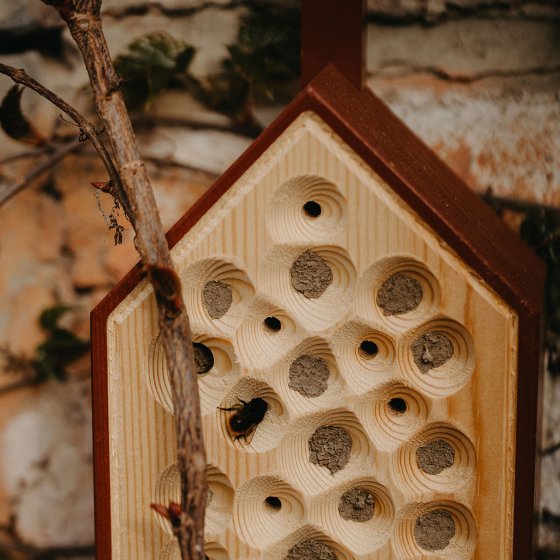 Maison d'abeilles en bois, tube de ruche d'abeilles, boîte d'apiculture,  nichoir d'abeilles suspendues, boîte à insectes de jardin, boîte d'abri de  nid 15 x 15 x 9 cm : : Commerce, Industrie